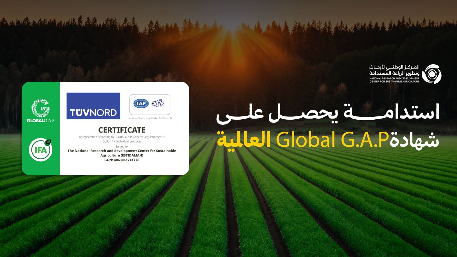 «استدامة» يحصل على شهادة GlobalG.A.P. الدولية في الممارسات الزراعية الجيدة